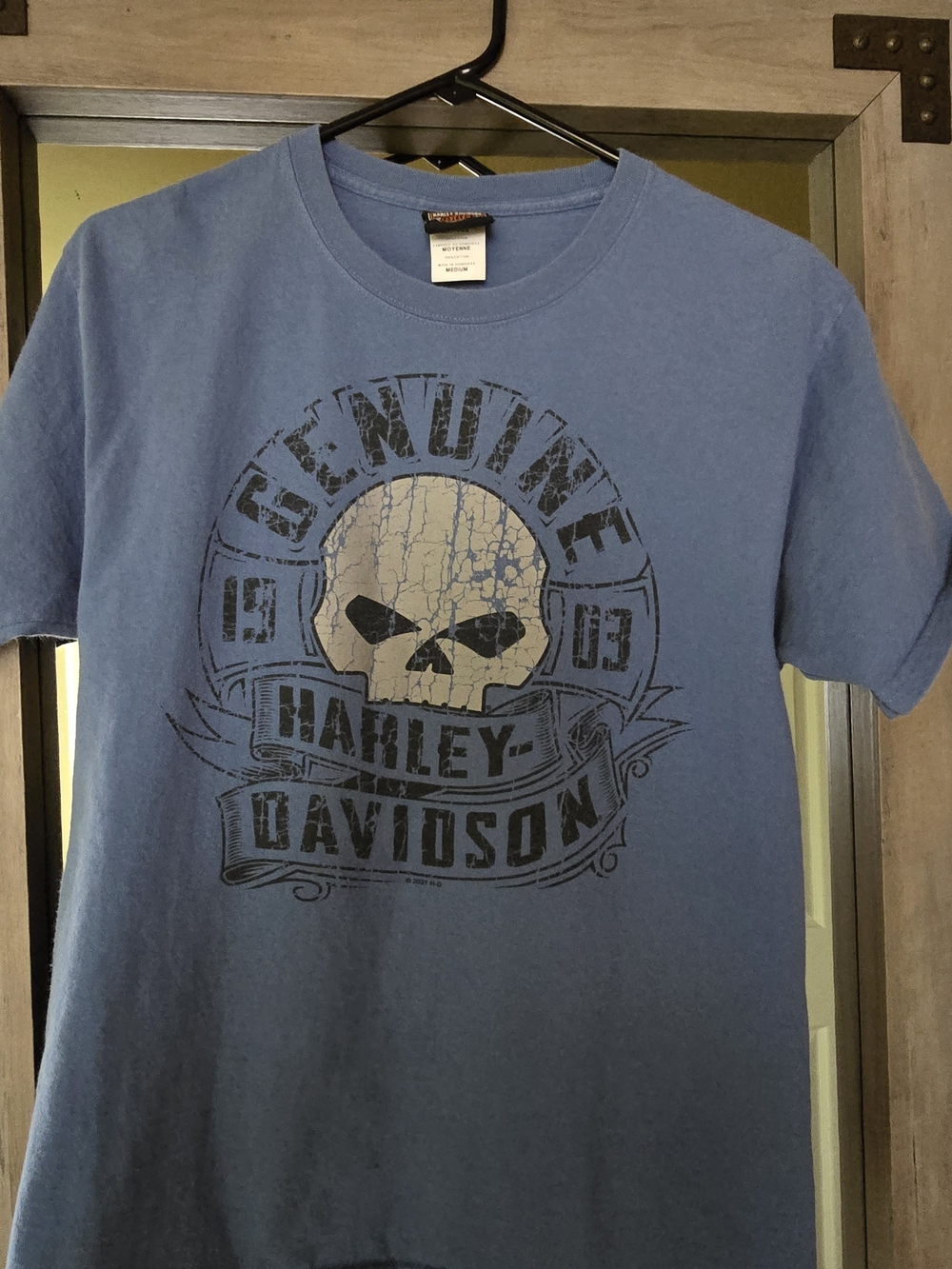 Harley-Davidson Light Blue Distressed Skull Graphic Tee